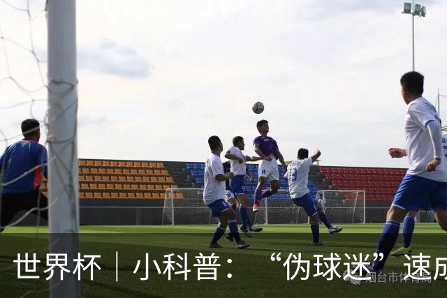 世界杯｜小科普：“伪球迷”速成手册